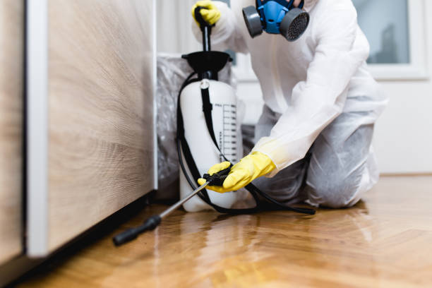 Best Pest Inspection Near Me  in Lakin, KS