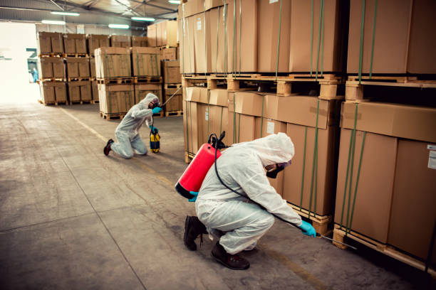 Best Flea Control Services  in Lakin, KS