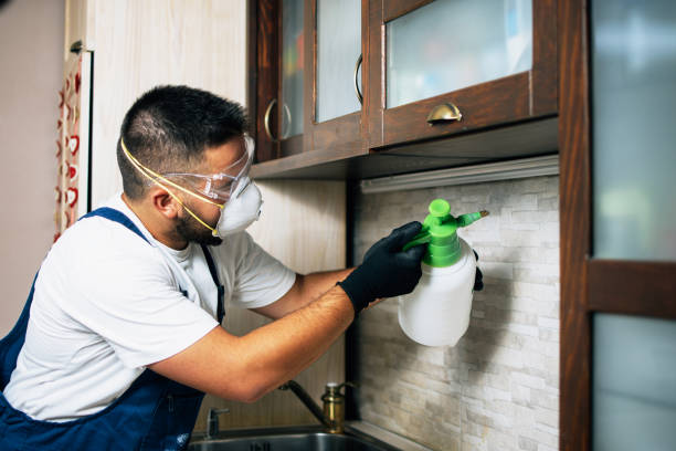 Best Best Pest Control Companies  in Lakin, KS