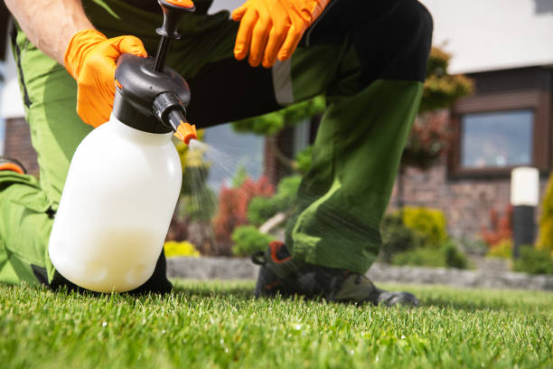 Best Commercial Pest Control Services  in Lakin, KS