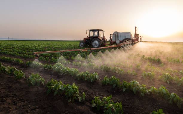 Best Ant Control Services  in Lakin, KS