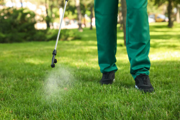 Best Wasp Removal Services  in Lakin, KS