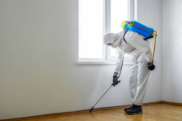 Best Emergency Pest Control  in Lakin, KS