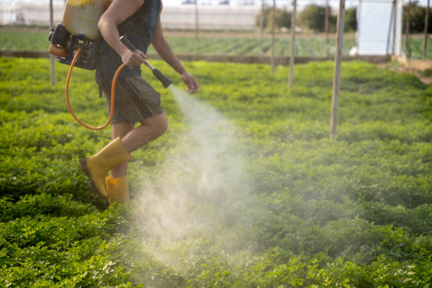 Best Best Pest Control Companies  in Lakin, KS