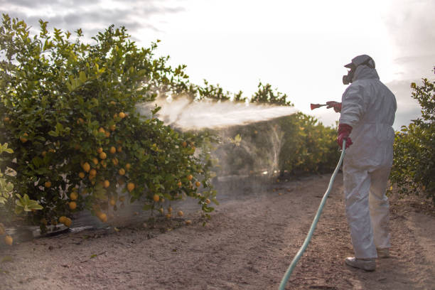 Best Wildlife Control Services  in Lakin, KS