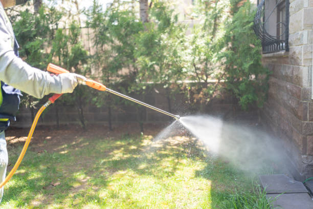 Best Affordable Pest Control Services  in Lakin, KS