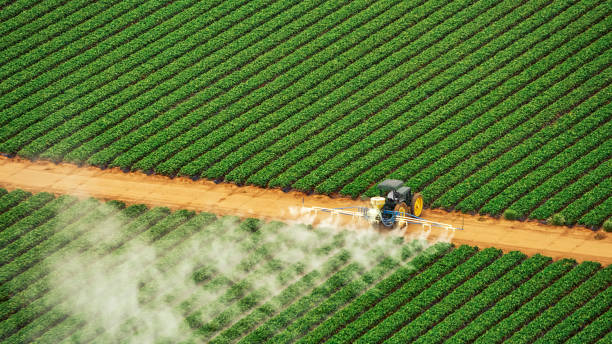Trusted Lakin, KS Pest Control Experts