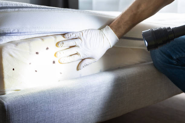 Best Exterminator Services  in Lakin, KS