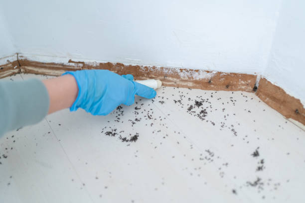 Best Pest Control Treatment  in Lakin, KS