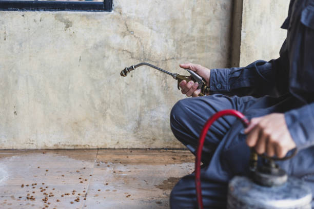 Best Mosquito Control Services  in Lakin, KS